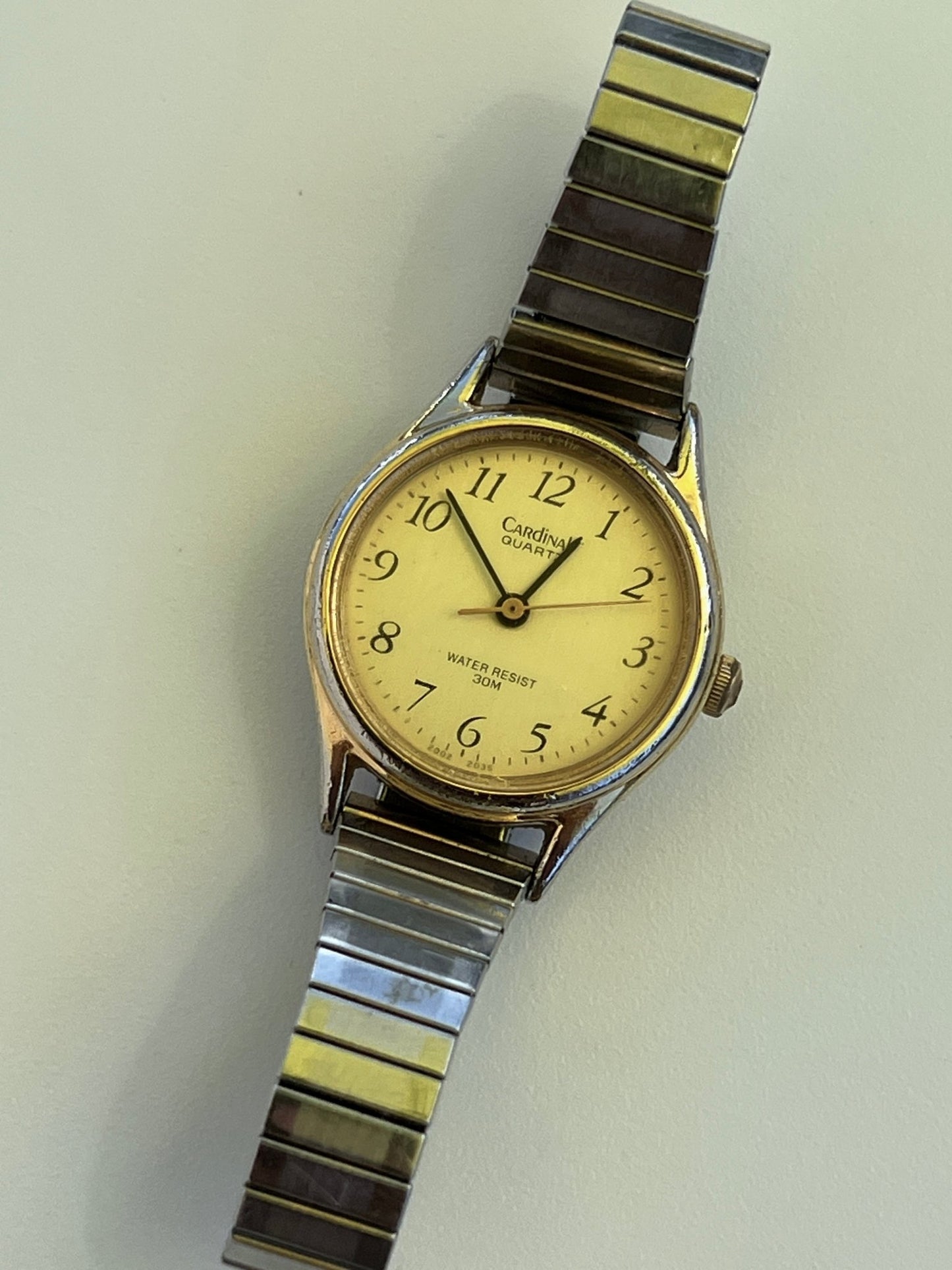 
                  
                    Cardinal Stretchy Watch - gldn grl
                  
                