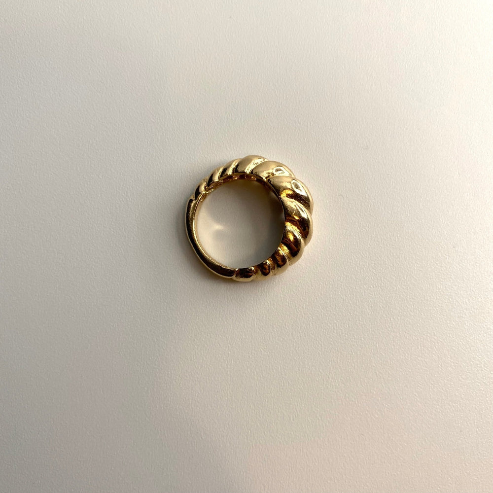 
                  
                    ottawa ring
                  
                